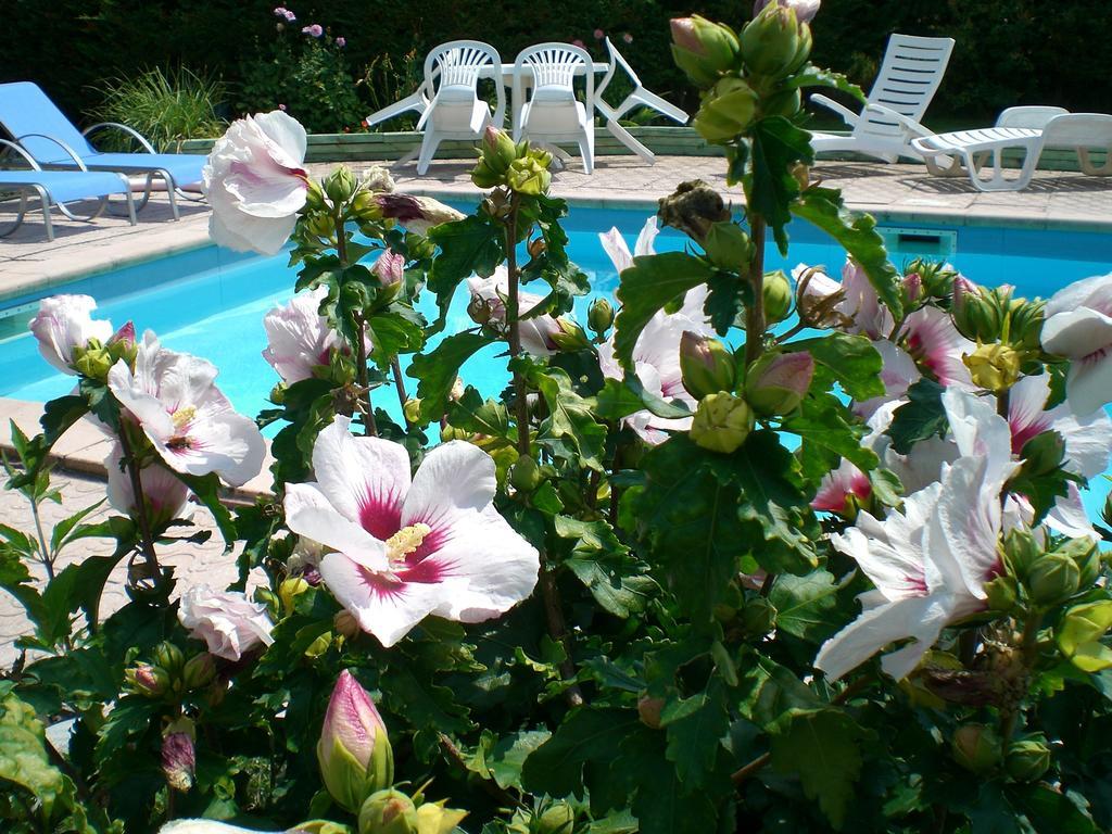 Chambres d'Hôtes Le Clos des Senteurs Malemort Extérieur photo